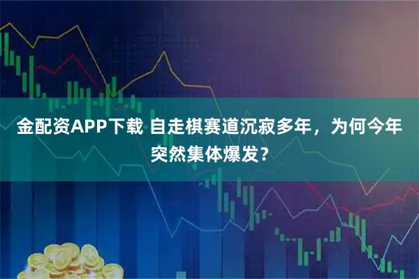 金配资APP下载 自走棋赛道沉寂多年，为何今年突然集体爆发？