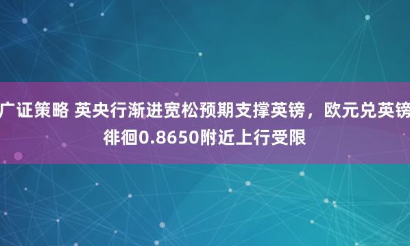 广证策略 英央行渐进宽松预期支撑英镑，欧元兑英镑徘徊0.8650附近上行受限